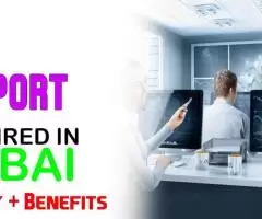 IT Support Required in Dubai