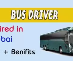 Bus Driver Required in Dubai