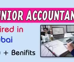 Junior Accountant Required in Dubai -