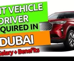 Light Vehicle Driver Required in Dubai