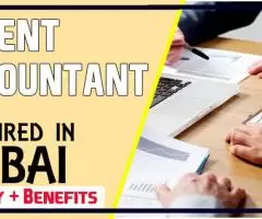 Urgent Accountant Required in Dubai