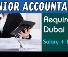 Junior Accountant Required in Dubai