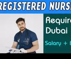 Registered Nurse Required in Dubai -