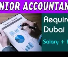 Senior Accountant Required in Dubai