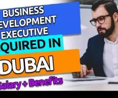 Business Development Executive Required in Dubai