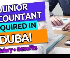 Junior Accountant Required in Dubai