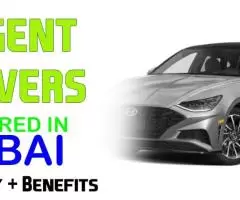 Urgent Drivers Required in Dubai