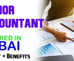 Senior Accountant Required in Dubai -