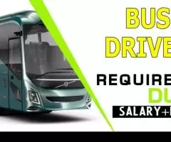 Bus Driver Required in Dubai