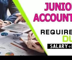 Junior Accountant Required in Dubai