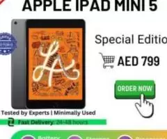 APPLE I PAD MINI 5