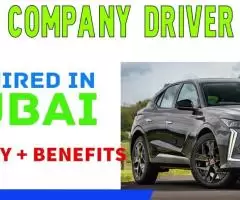 Company Driver Required in Dubai