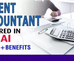 Urgent Accountant Required in Dubai