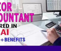 Junior Accountant Required in Dubai