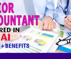 Senior Accountant Required in Dubai