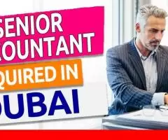 Senior Accountant Required in Dubai