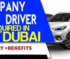 Company Driver Required in Dubai -