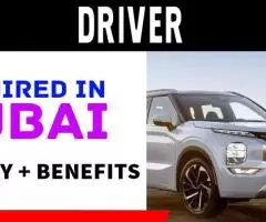 Driver Required in Dubai