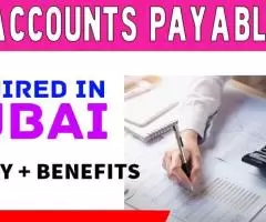 Accounts Payable Required in Dubai