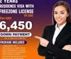 Business License and visa