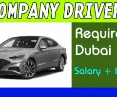 COMPANY DRIVER Required in Dubai