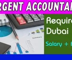 Urgent Accountant Required in Dubai