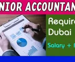 Senior Accountant Required in Dubai