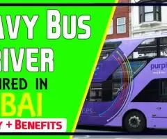 Heavy Bus Driver Required in Dubai