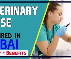 Veterinary Nurse Required in Dubai