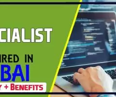 IT Specialist Required in Dubai