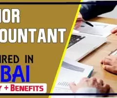 Junior Accountant Required in Dubai