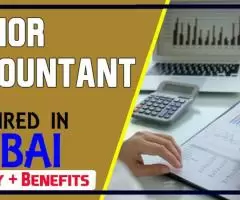 Senior Accountant Required in Dubai