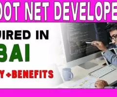 Dot Net Developer Required in Dubai