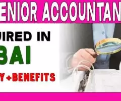 Senior Accountant Required in Dubai