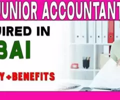 Junior Accountant Required in Dubai -