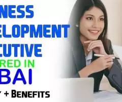 Business Development Executive Required in Dubai