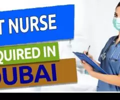 Ot Nurse Required in Dubai