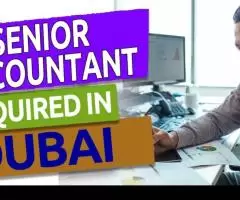 Senior Accountant Required in Dubai