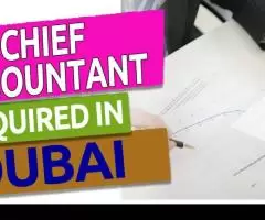 Chief Accountant Required in Dubai