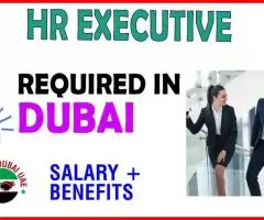 Human Resources Executive Required in Dubai