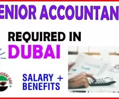 Senior Accountant Required in Dubai