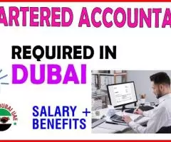 Chartered Accountant Required in Dubai