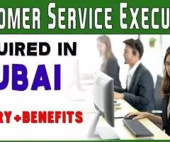 Customer Service Executive Required in Dubai