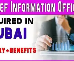 Chief Information Officer Required in Dubai