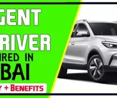 Urgent Driver Required in Dubai