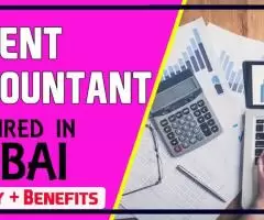 Urgent Accountant Required in Dubai