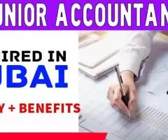 Junior Accountant Required in Dubai -