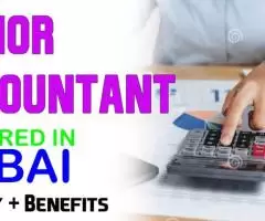 Junior Accountant Required in Dubai