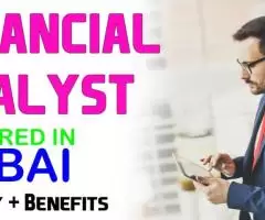 Financial Analyst Required in Dubai