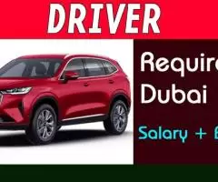 Driver Required in Dubai